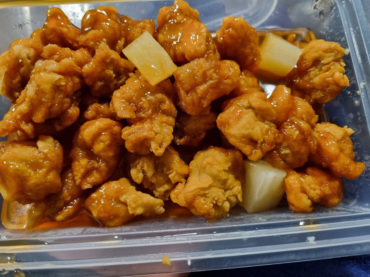 Junction Fish Supply Photos 2